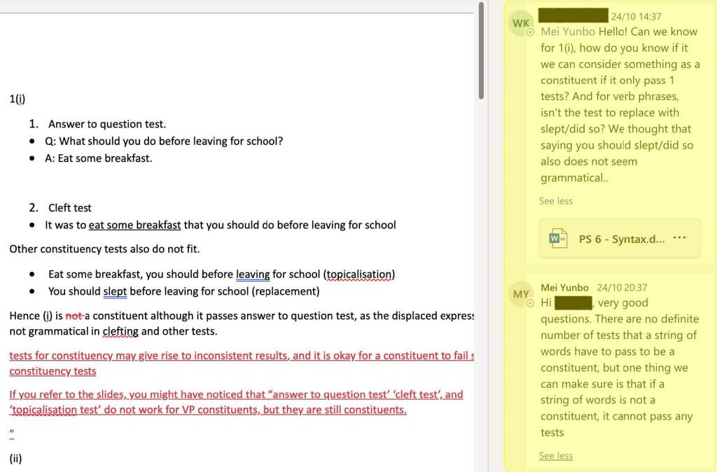 Screenshot of student texts asking
questions within their submitted document as comments to the left of the main document. 